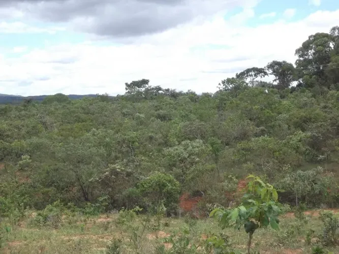 Terreno de 5ha, com luz e água encanada, próximo a vários comércios e muito mais.