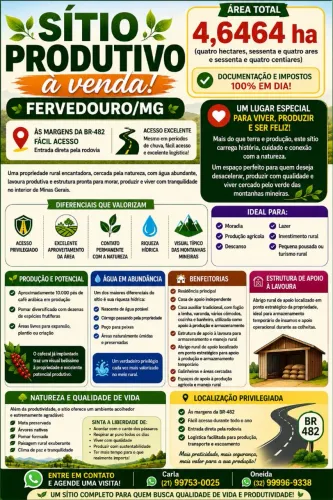 Sítio produtivo com água de nascente e documentação em diaee Própria Fervedouro/MG