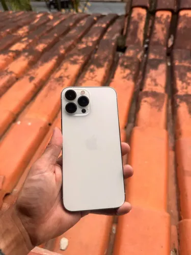 iPhone 13 Pro Max 256Gb