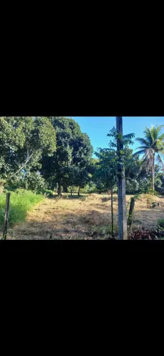 Terreno no riacho do mel medindo 10 por 50