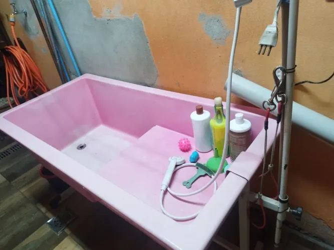 Banheira com suporte regulável Rosa para Pet Shop com degrau, válvula de saida da agua