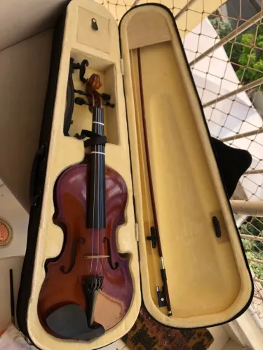 Violino
