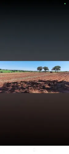 Vende se 7 alqueires em Santa Albertina