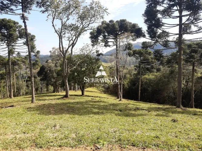 Chácara com araucárias e vista ampla - 20.000 m2
