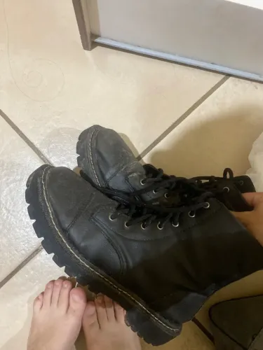 Bota