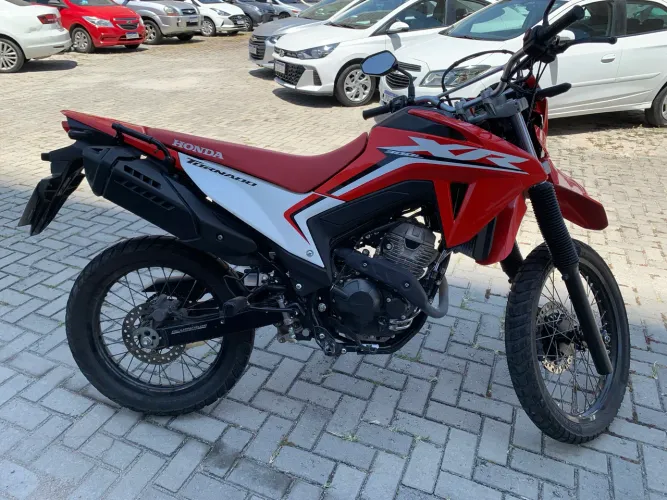 Honda XR TORNADO 300 2025