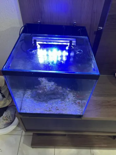 Aquário 60litros