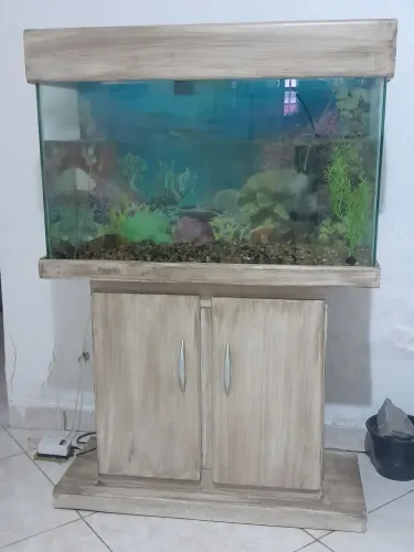 Aquário