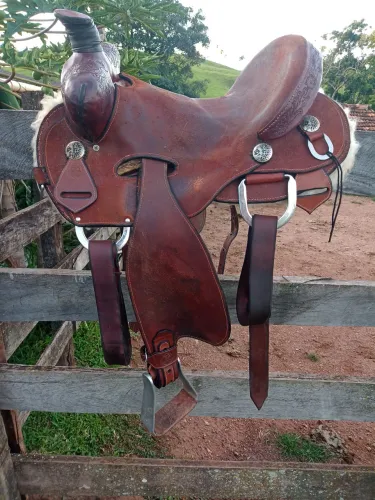 Sela longhorn