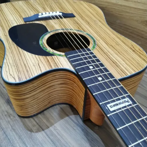 Violão Giannini GF-1D CEQ ZW NOVO/LACRADO