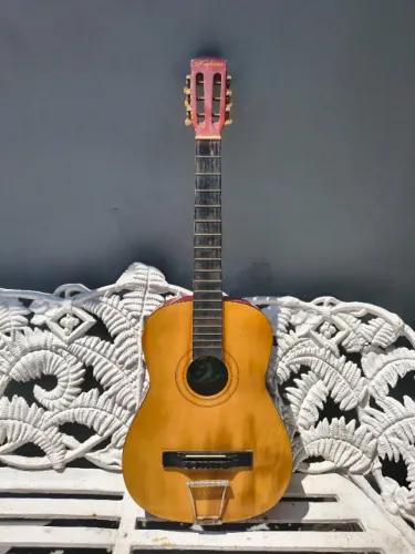 Violão