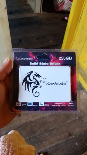 SSD 256 gigas