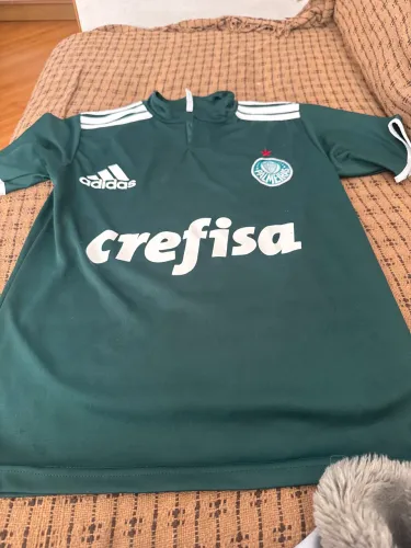 Camisa palmeiras