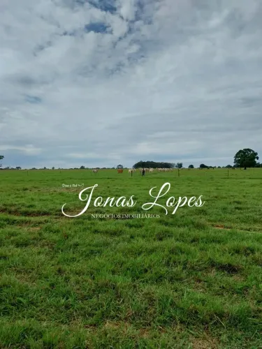 Sitio em Pasto 20 Alqueires Município Cidade Gaúcha Pr