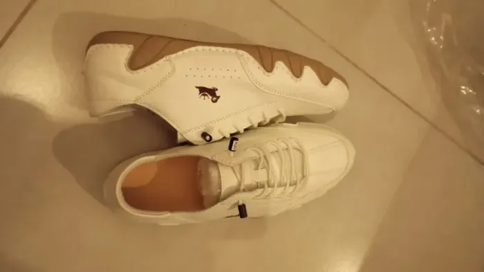 tenis