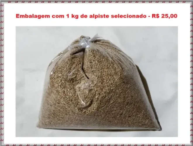 Alpiste selecionados para várias espécies de pássaros