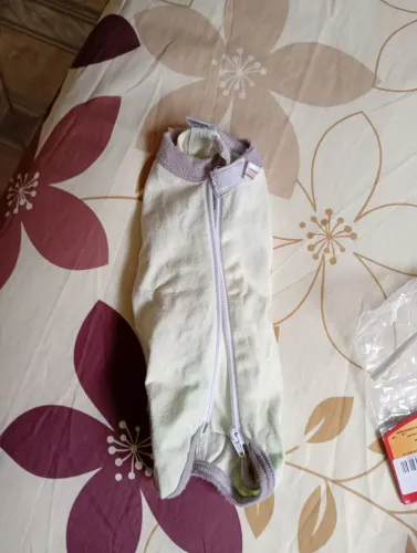 Roupa cirúrgica de gato