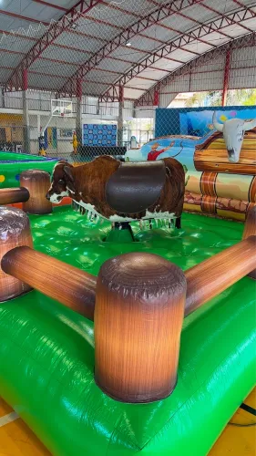 Locação de brinquedos - touro mecânico piscina de bolinhas coma elástica 