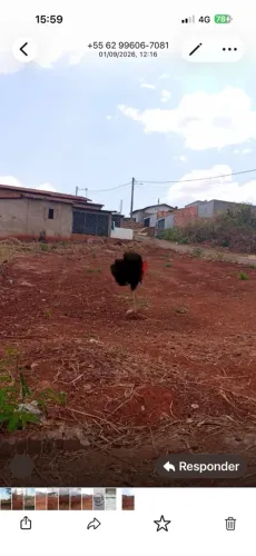 Lote Ceres-Go, st. Aldeia do Vale