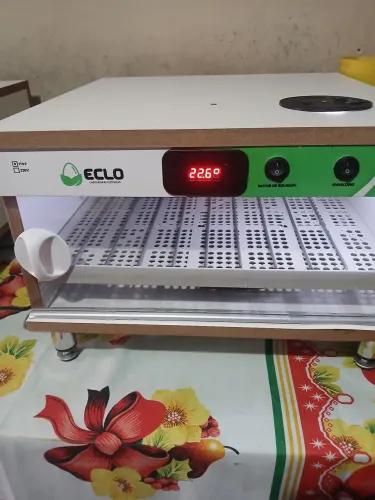Chocadeira eclo 70 ovos automática