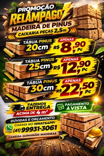 Madeiras pinus para caixaria