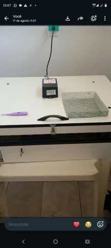 Vendo excelente chocadeira Brood maia de 120 ovos