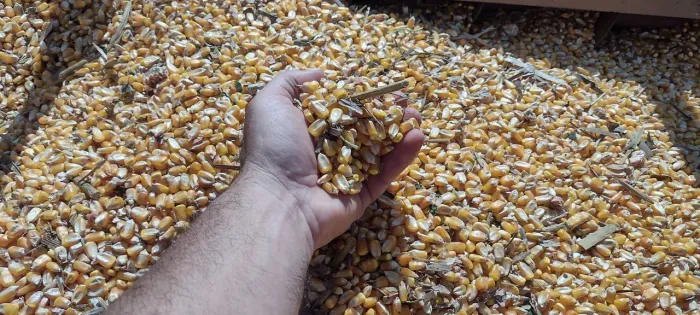Oportunidade Fazenda a venda em Aiuruoca Sul de Minas Gerais