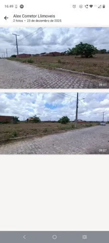 Oportunidade Bella Luna