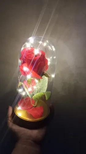 Centro de mesa Rosa encapsulada para eventos praticamente novas tamanho grande