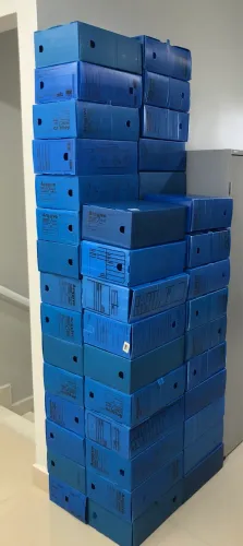 ARQUVO FÁCIL COR AZUL - CAIXA ORGANIZADORA PARA ESCRITÓRIO