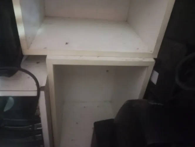 Nicho de madeira por apenas 30 reais