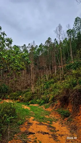 Chácaras com 6.700m², troco, parcelo, pego dólar <br>? Aproximadamente 910 metros de altitude