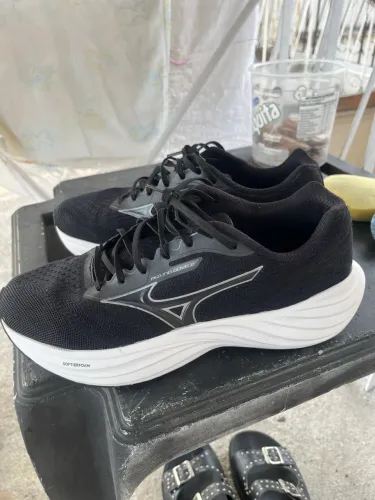 Mizuno goya