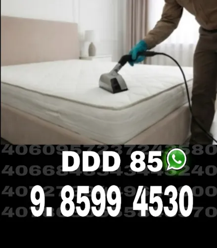 Dedetização Eficiente: Proteja Sua Saúde e Seu Patrimônio