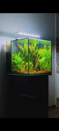 Aquário 125 litros com sump traseiro