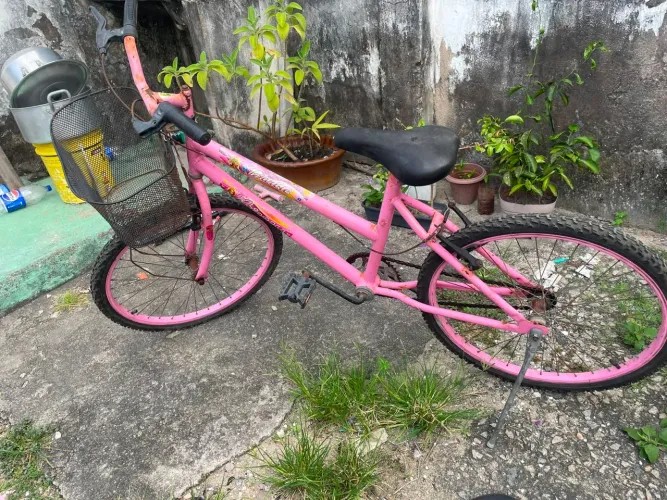 Boas precisa de um trato!