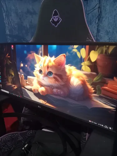 Monitor lg ultrawide