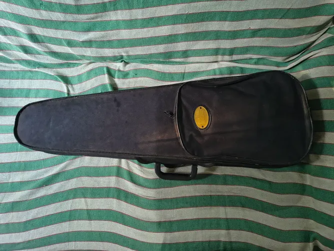 Violino