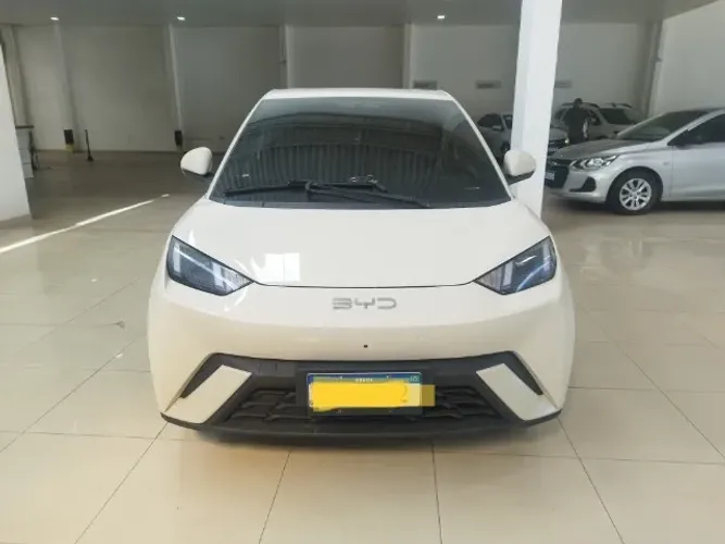BYD Dolphin Mini (Elétrico) 2025
