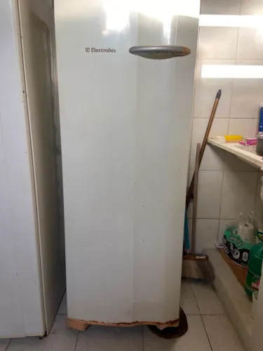 Freezer vertical