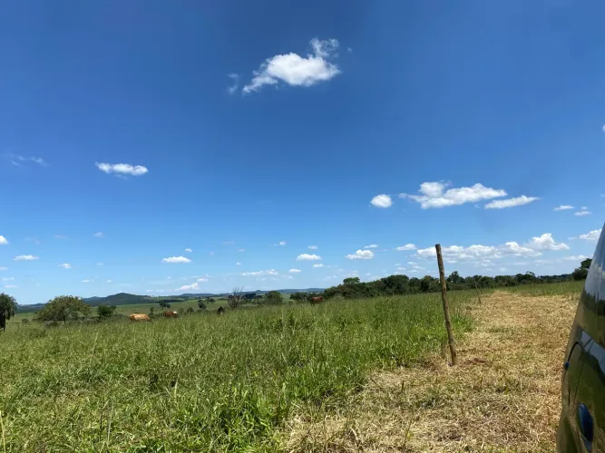 Chácara 2 mil Mt 