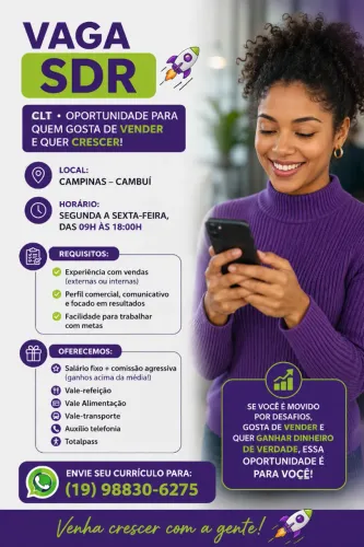 Vendedor interno 