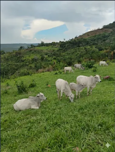 Fazenda à venda, R$ 2.430.000, Monte do Carmo, TO