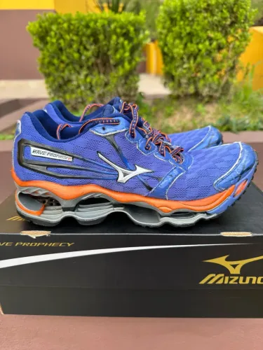 Mizuno wave prophecy 2