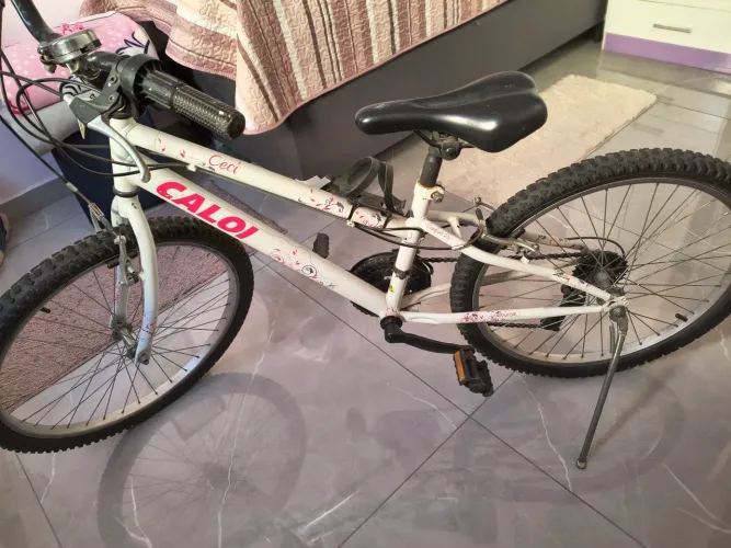 Bicicleta aro 21