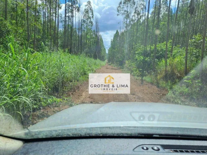 Fazenda à venda na região de Araguaina/TO.
