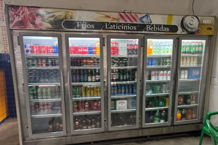 Freezer vertical