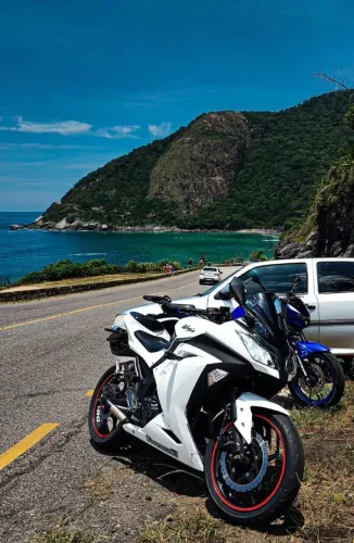Kawasaki Ninja 300 2013 (Pearl Stardust White)