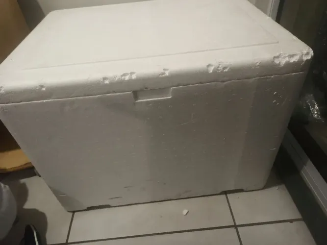 Caixa de isopor 170l