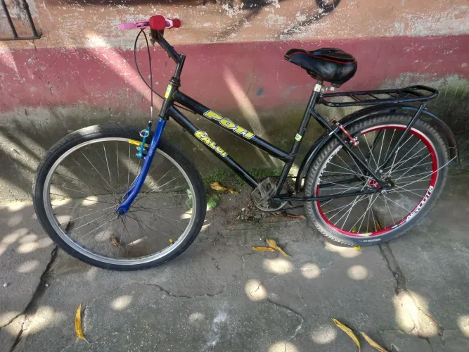 Bicicleta poti 26